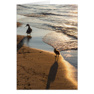 Paseo del atardecer con mamá