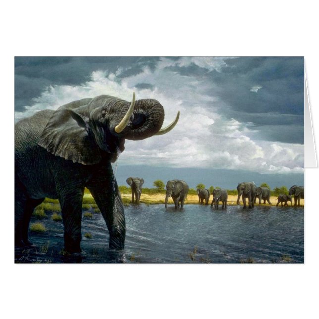 Paseo del elefante (Anverso (Horizontal))