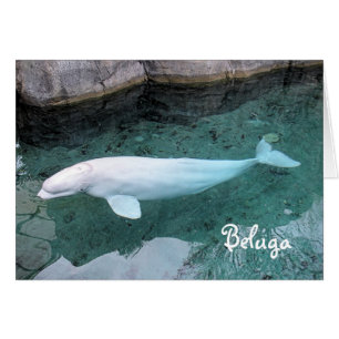 Paseo en el lado salvaje