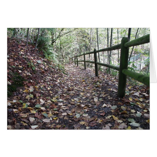 Paseo en el parque (Anverso (Horizontal))