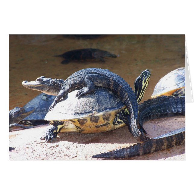 Paseo libre (Anverso (Horizontal))