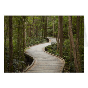 Paseo marítimo a Nelson Falls, Franklin - Gordon