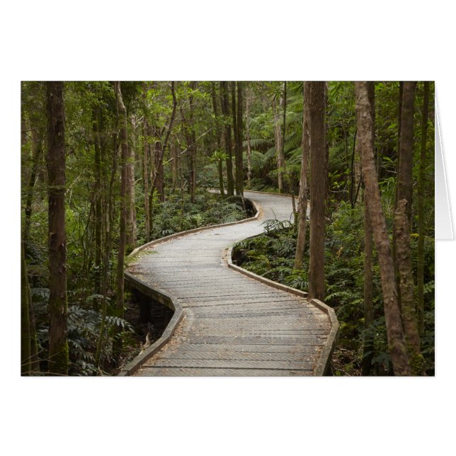 Paseo marítimo a Nelson Falls, Franklin - Gordon (Anverso (Horizontal))