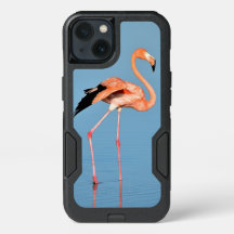 Paseo por el lago Flamingo | Aves