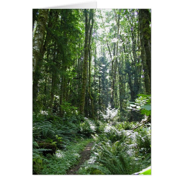 Paseo por los bosques (Frente)