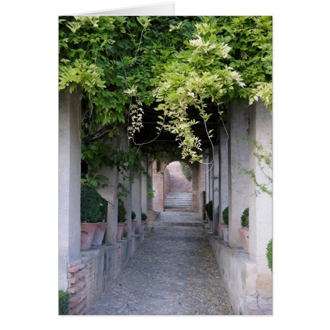 Pasillo Cubierto de Follaje, España (Frente)