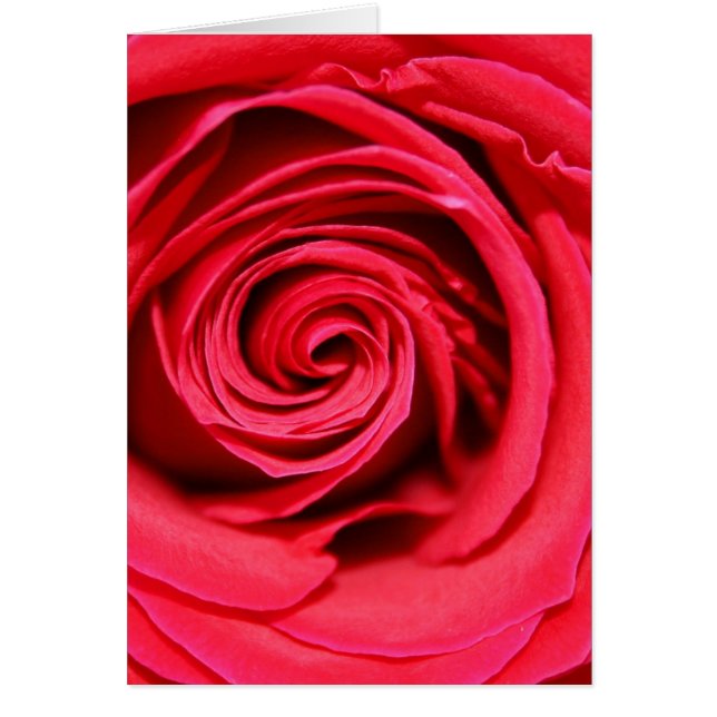 Pasión subió (Frente)