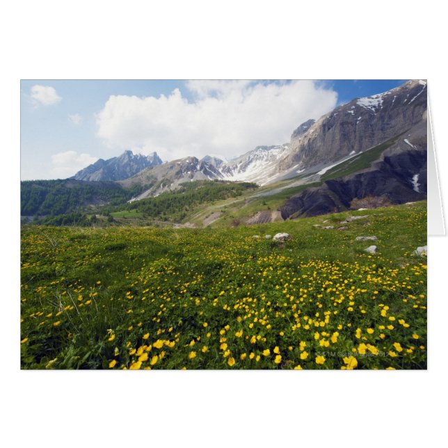 Paso Champs primavera Riviera Francesa Hinterland (Anverso (Horizontal))