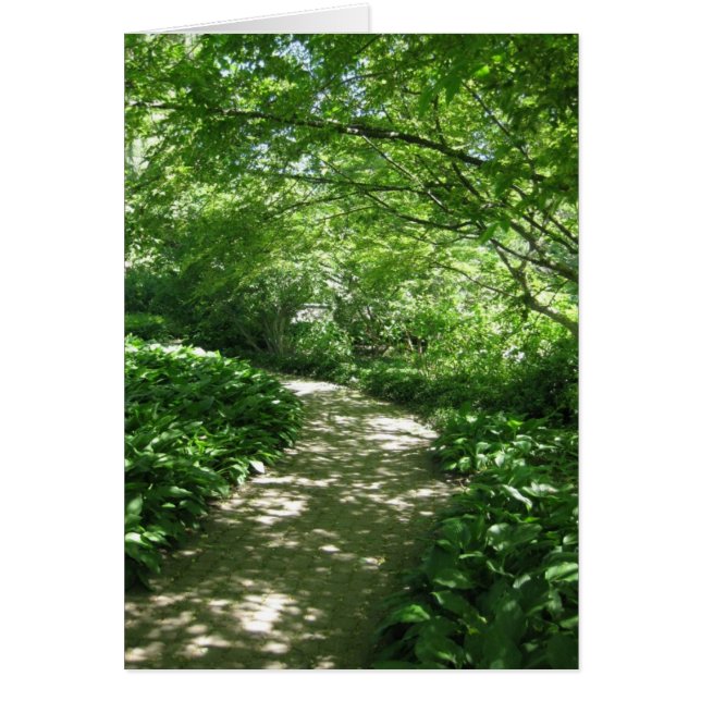 Paso de Blank_Leafy (Frente)