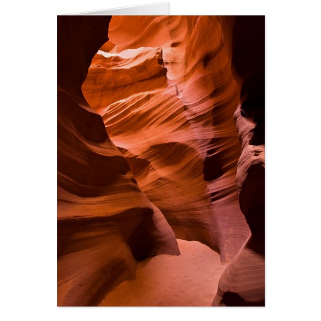 Paso estrecho (Frente)