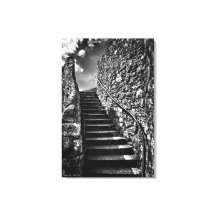 Pasos de Barbados, arte fino, negro y blanco