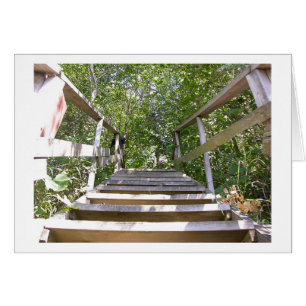 Pasos de la casa verde