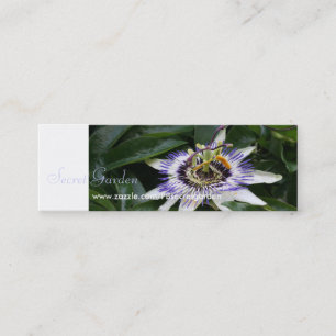 Passiflora 1 Fotografía floral Mini tarjeta de vis