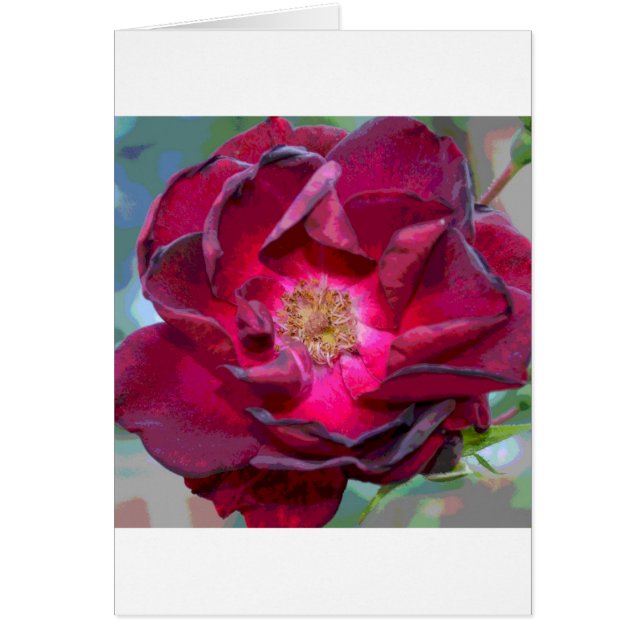 Passion Burgandy Flower (Frente)