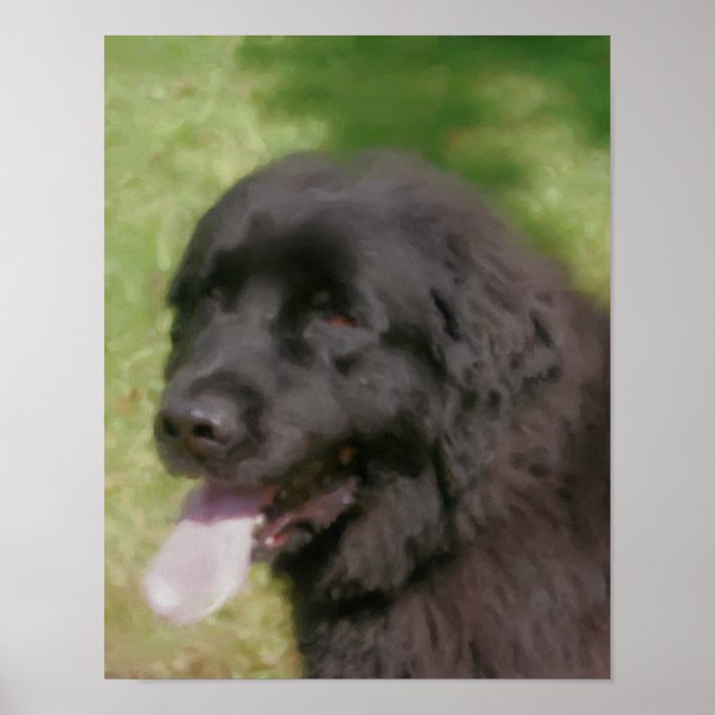 Pastel de arte de perro en Terranova Negra (Frente)