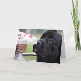 Pastel de cumpleaños y tarjeta de perro