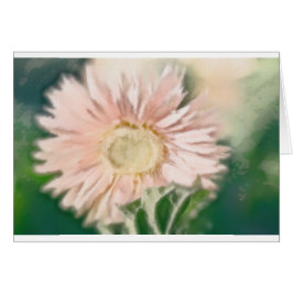 Pastel de la margarita del Gerbera