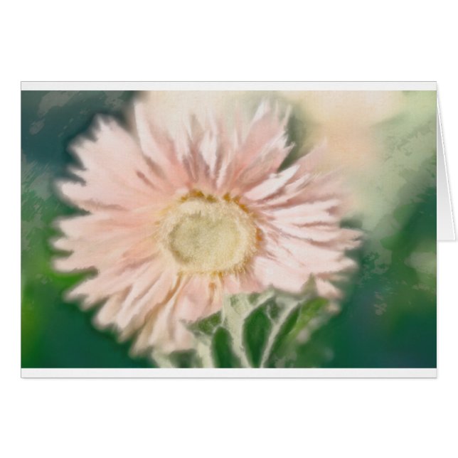 Pastel de la margarita del Gerbera (Anverso (Horizontal))