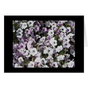 Pastel Petunias