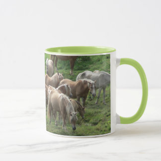 Pasto de la taza de los caballos