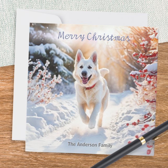 Pastor Alemán Blanco Alsatian Navidad (A Christmas card with a picture of a white German Shepherd dog out for a walk in the winter snow)