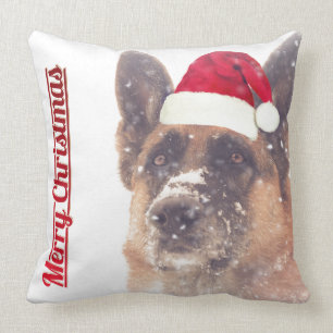 Pastor alemán en la almohada de tiro del día de