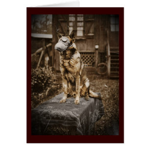 Pastor alemán en máscara de gas