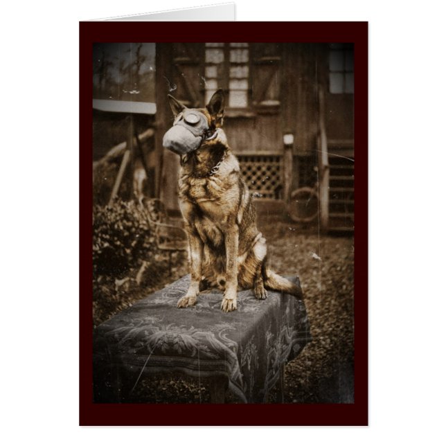 Pastor alemán en máscara de gas (Frente)