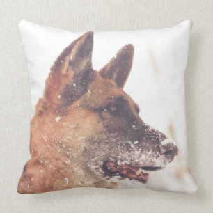 Pastor alemán hermoso en la almohada de tiro de l