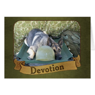 Pastor alemán militar