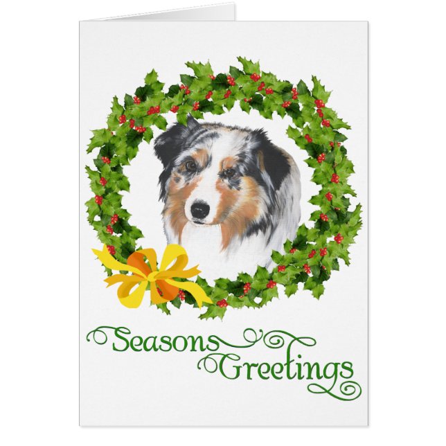 Pastor Australiano (Frente)