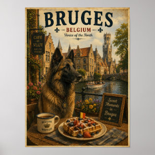 Pastor Belga en Café de Brujas Arte de Viaje Vinta