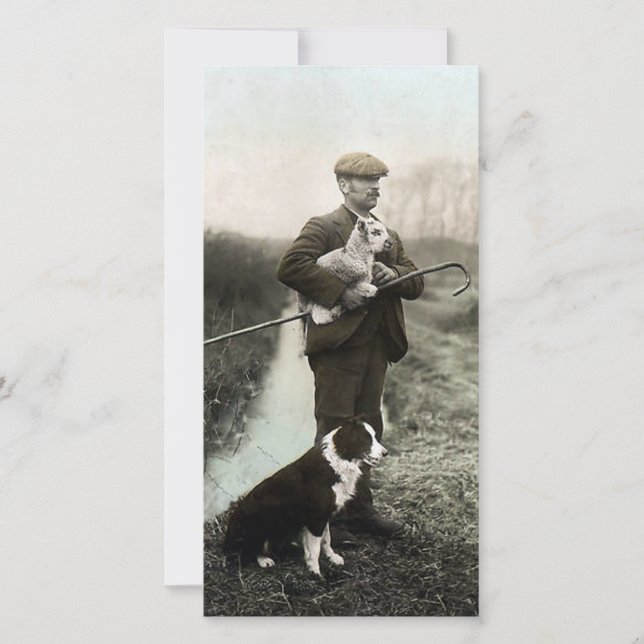 Pastor con cordero y collie de borde (Anverso)