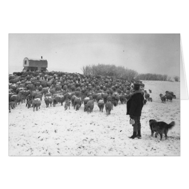 Pastor con multitud (Anverso (Horizontal))