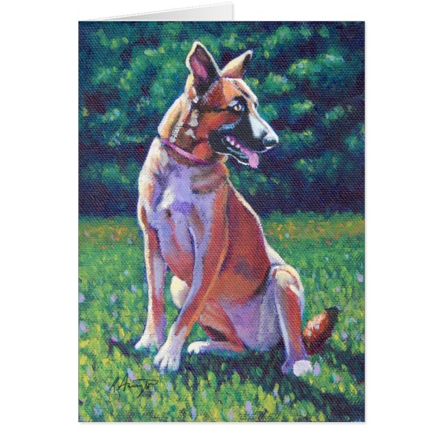 Pastor de Malinois en el Campo de Grassy (Frente)