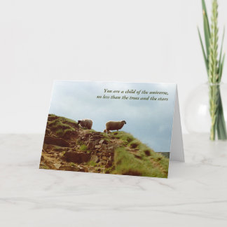 Pastoreo de ovejas en una tarjeta de montaña UK Pe