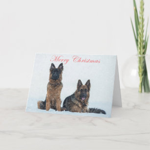 Pastores alemanes en la tarjeta de navidades de ni