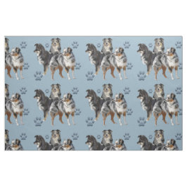 Pastores australianos de tela azul