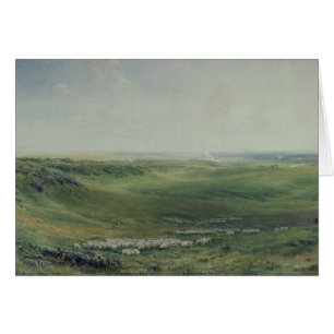 Pastos anchos, Sussex