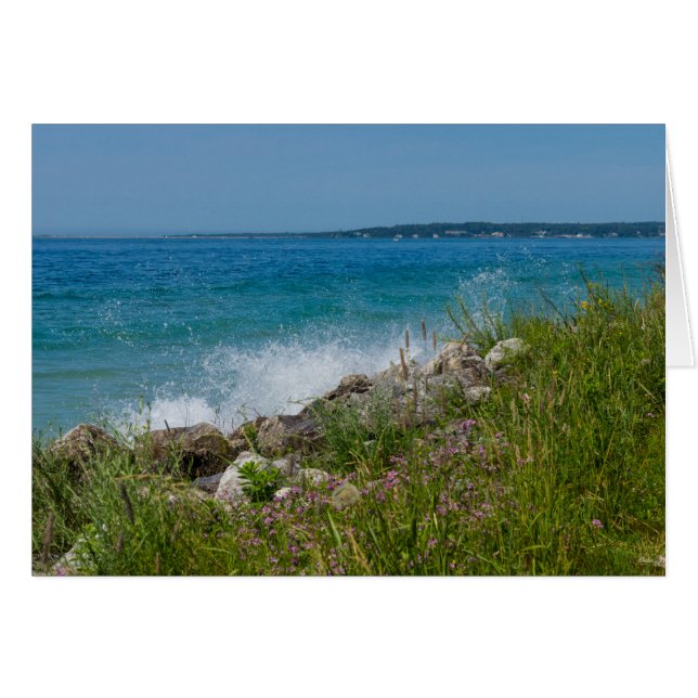 Patalear A Mackinac (Anverso (Horizontal))