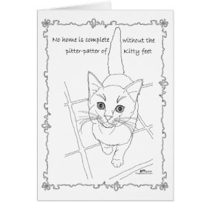 Patas de Gatito