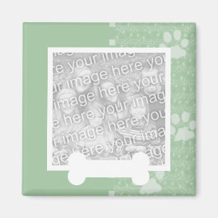 Patas de la primavera e imanes verdes de la foto