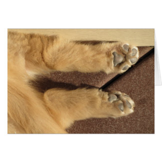 Patas de oro del perrito dos