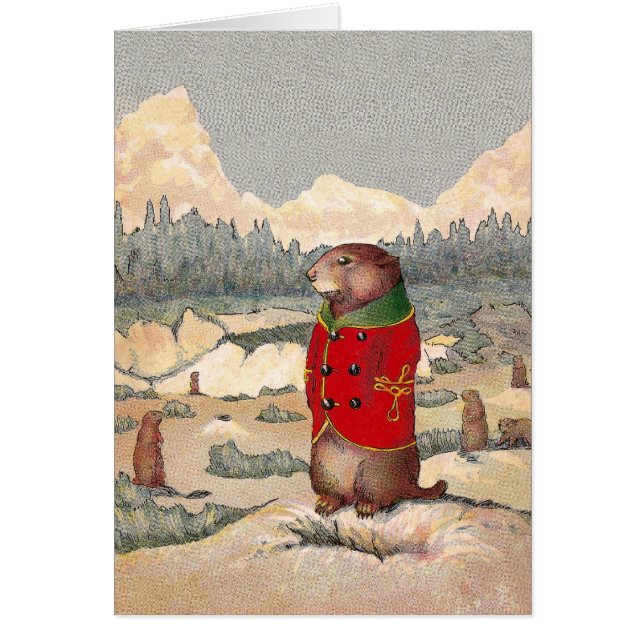 Patas del arroz en ciudad del perro de las (Frente)