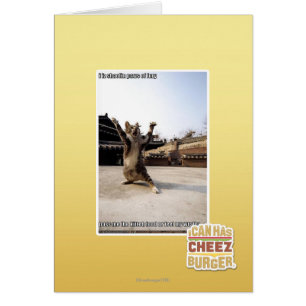 Patas del shaolin del iz I de la furia