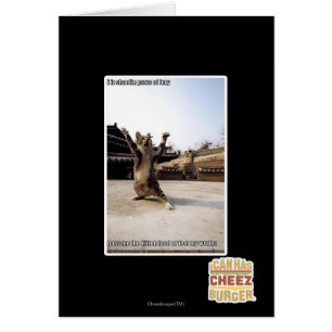 Patas del shaolin del iz I de la furia
