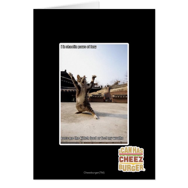 Patas del shaolin del iz I de la furia (Frente)