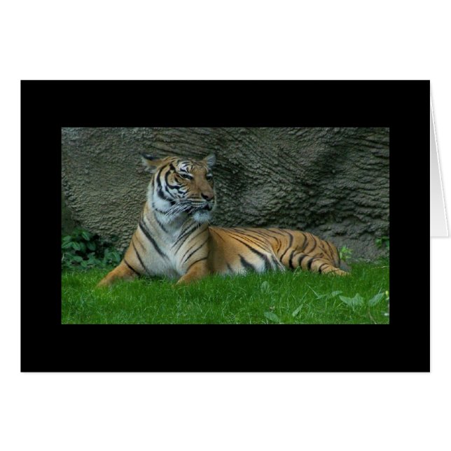 Patas del tigre (Anverso (Horizontal))