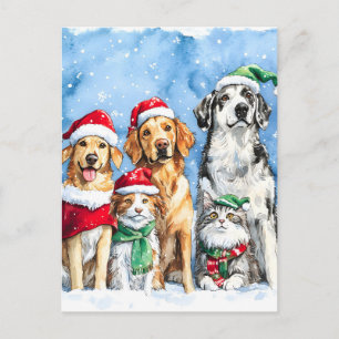 Patas Nevadas Festivo Dulce Navidad Mascotas Acuar