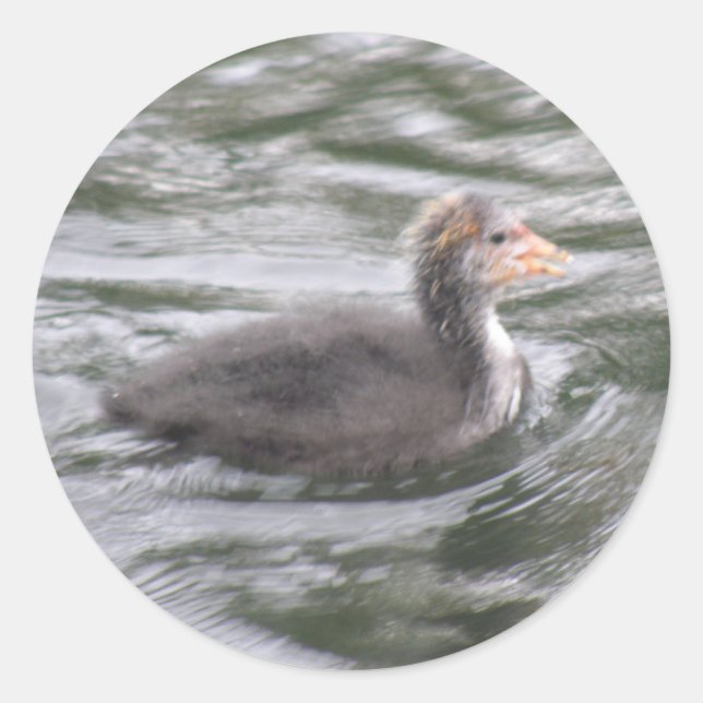 Patata de algodón hueca en Pegatinas de aguas turb (Anverso)